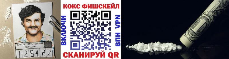 COCAIN Fish Scale  Вязники 