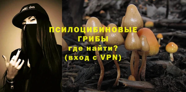 спайс Богданович