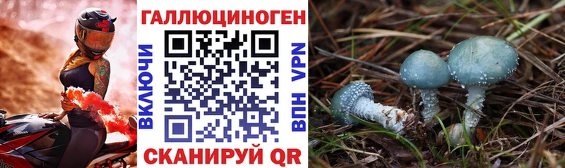 Галлюциногенные грибы ЛСД  купить   Вязники 